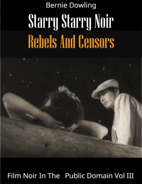Cover of Starry Starry Noir